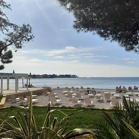 公寓 Hrast For Max 5 Persons 600m From The Beach