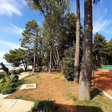 Hrast For Max 5 Persons 600m From The Beach